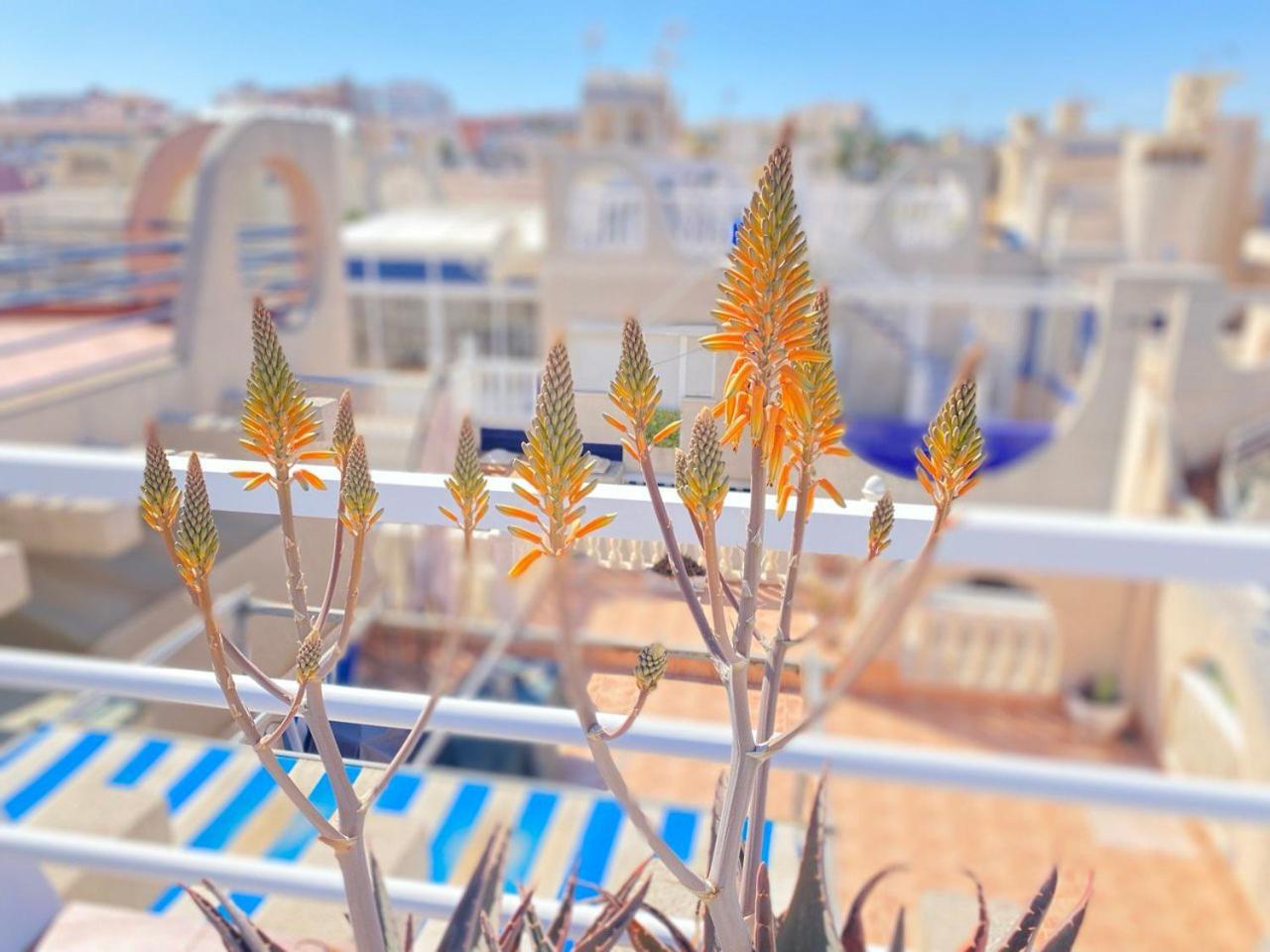 Sea View Dunas De La Mata Apartment Torrevieja